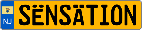 US State Flag Custom License Plate